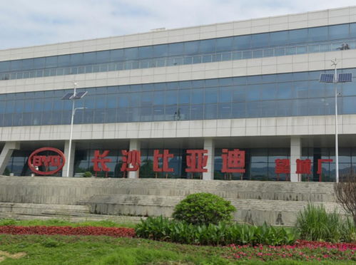 比亚迪回应长沙工厂排队辞职 与事实不符 招聘正常进行