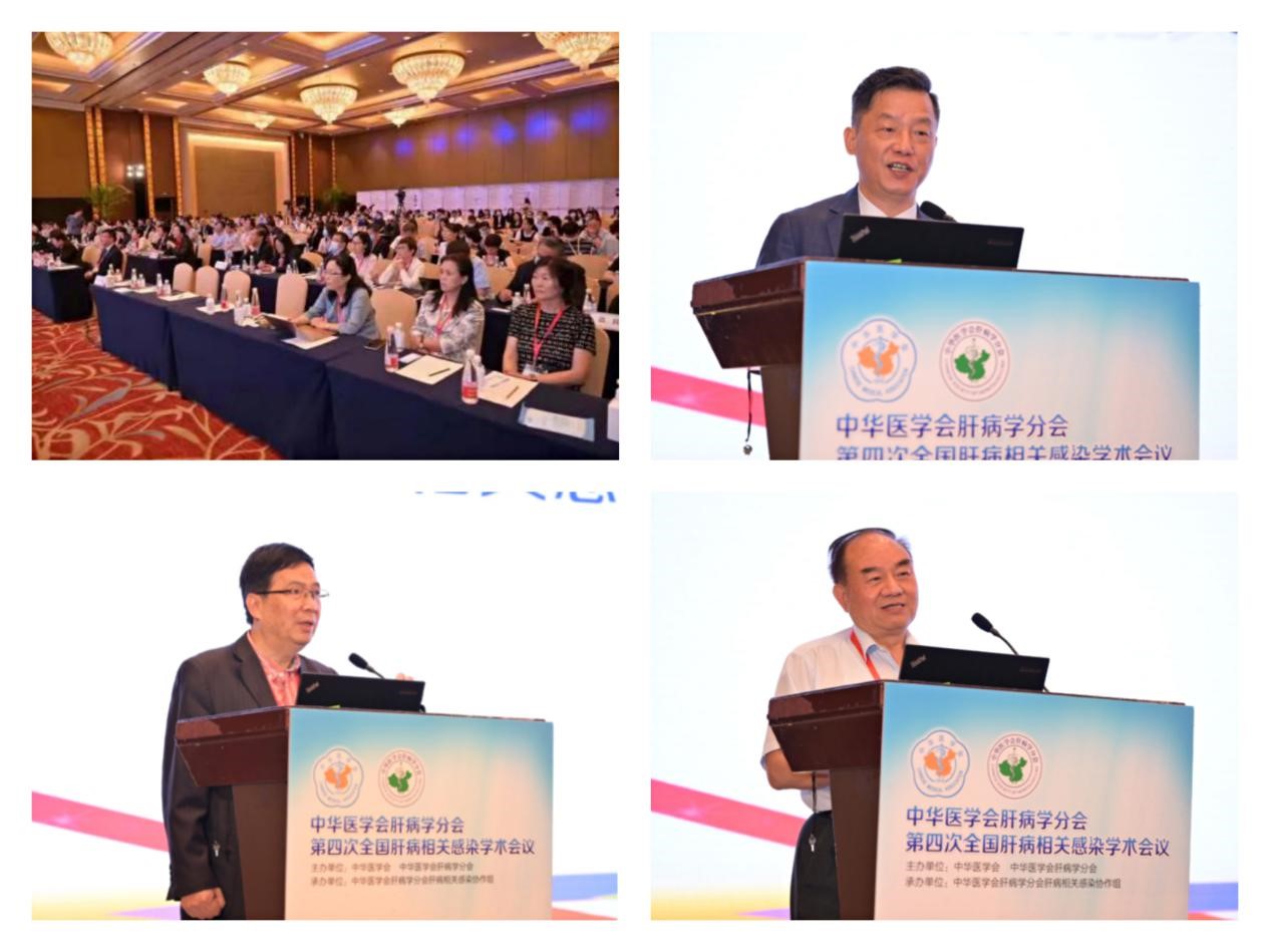 聚焦学术前沿，共迎肝病防治新征程！evo真人股份以学术助力中医药发展