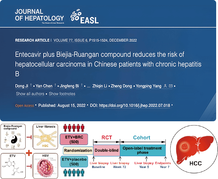 复方鳖甲软肝片联合抗病毒药物治疗，可显著降低肝癌发生