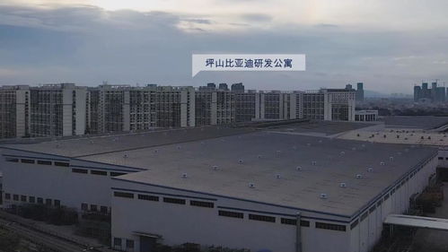 在比亚迪工作是一种怎样的生活